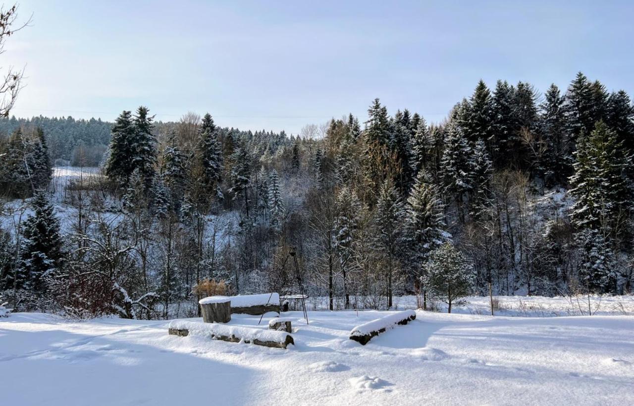 Wieś odNowa Łabowa Zewnętrze zdjęcie